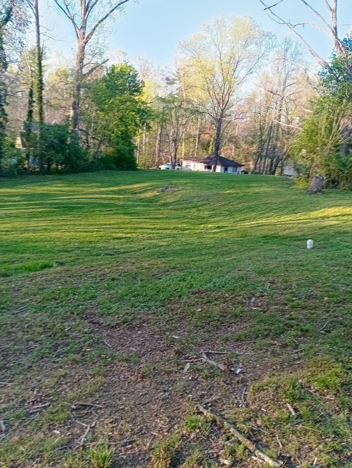Alvarado Landscaping Image